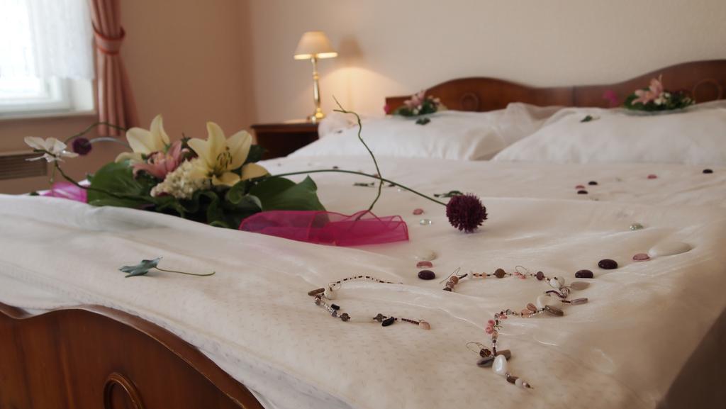 Pension Habermannova Vila Bludov  Номер фото